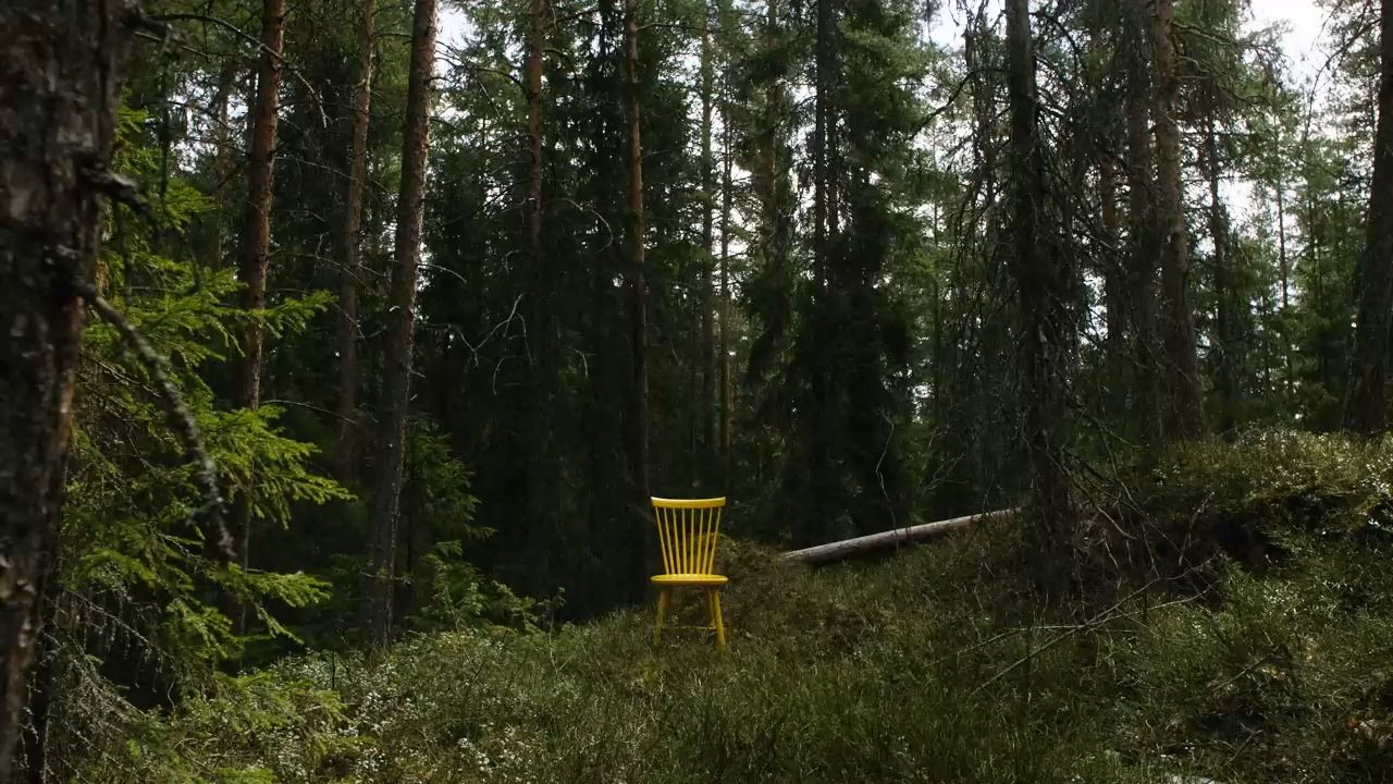 A yellow chair in a forest