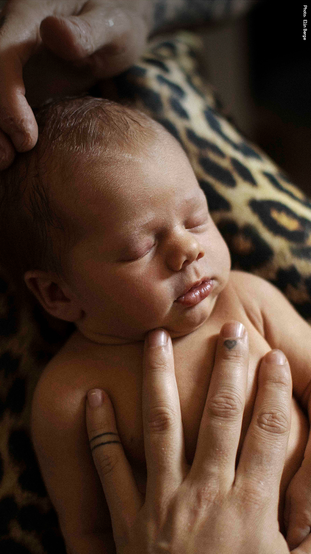 An almost newborn baby in the hands of their parent.