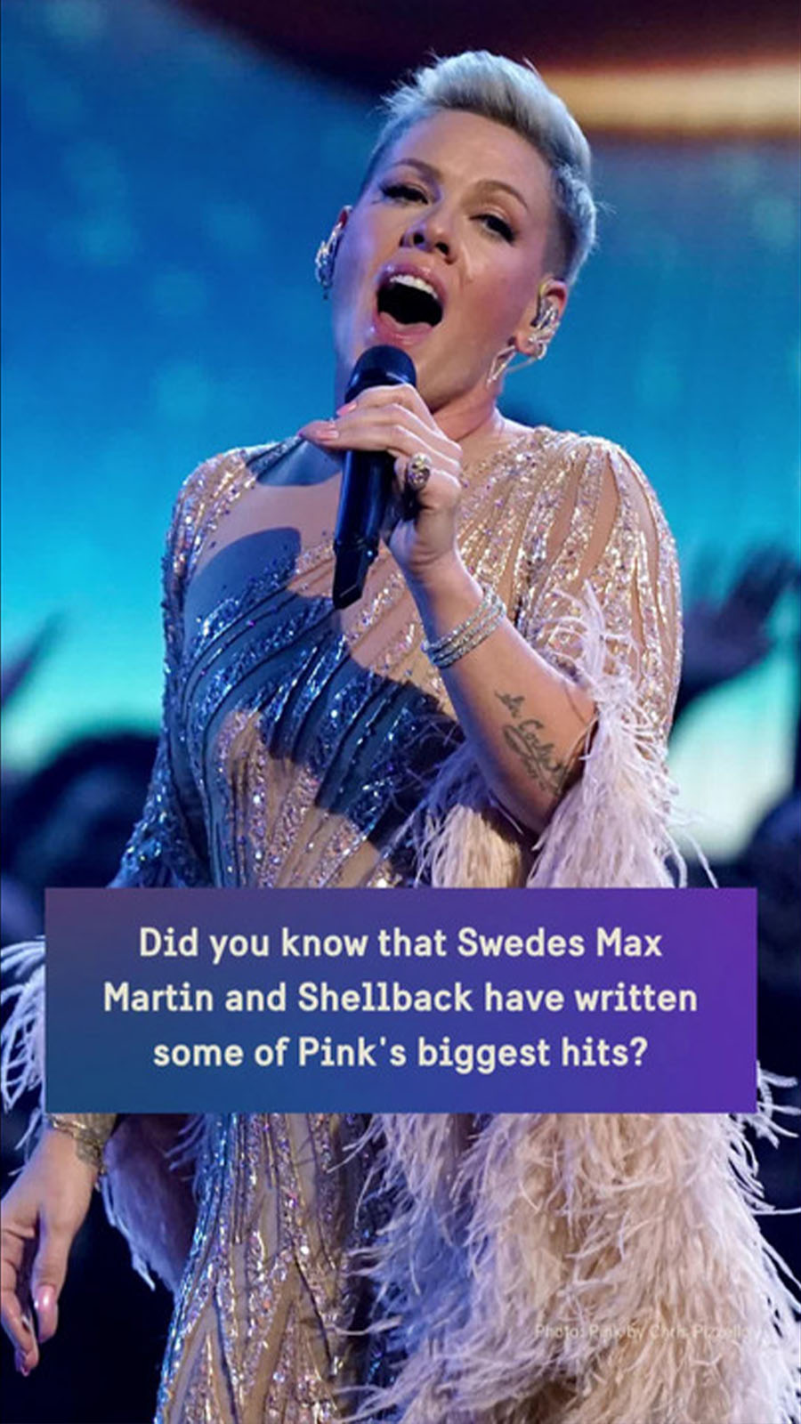 Artist Pink singing on a stage.