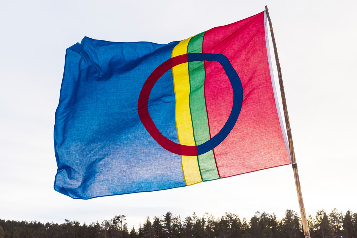 The Sami flag - blue, yellow, green and red with a circle in the middle.